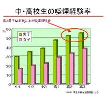 妊婦の喫煙と子どもの知能